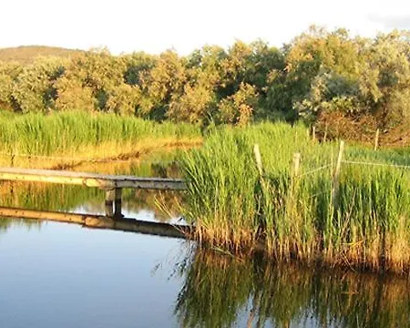 Maison Du Pilou 5 Avec Jardin Entre Plages Et Etangs 빌레뇌브-레-마그론